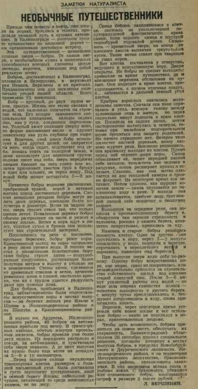  ,  , ,     ,               1955 