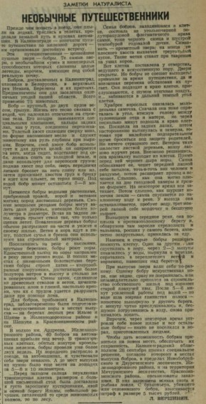  ,  , ,     ,               1955 