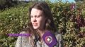 «Золотые скамейки»: что известно о деле чиновника из администрации Калининграда?
