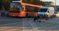 В Калининграде на эстакадном мосту мотоциклист держал поток машин, пока женщина спасала пса (видео)