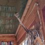 Доброе утро, друзья!. Всю последнюю неделю над Косой идёт массовая миграция корольков (Regulus regulus), сообщают калининградские орнитологи
