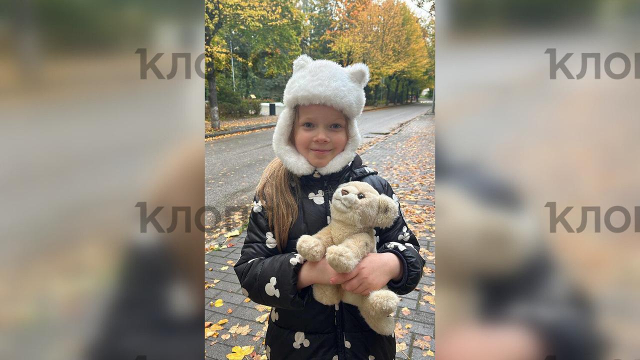 7-летней девочке из Зеленоградска подарили двух плюшевых котят взамен любимой потерянной игрушки