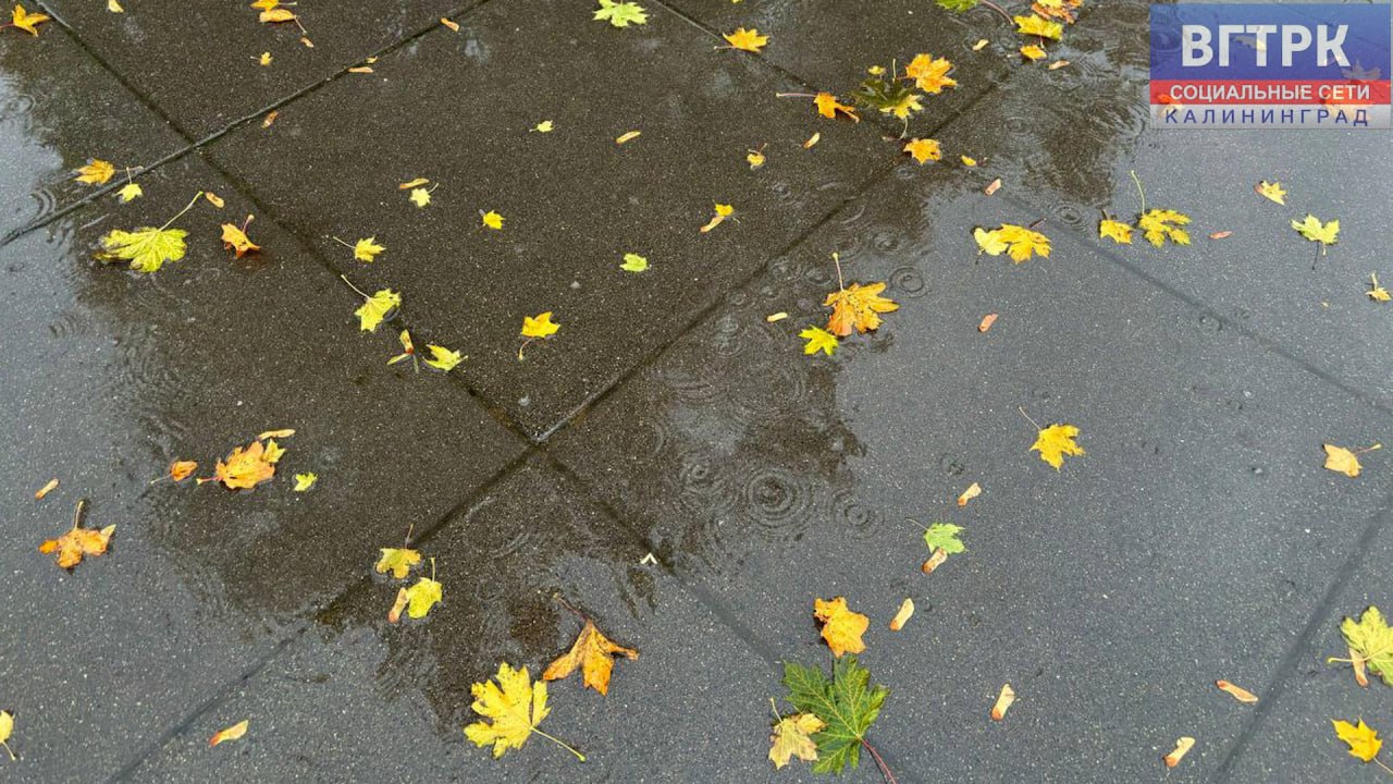 А впереди – дожди, дожди, дожди А впереди – дожди, дожди, дожди
