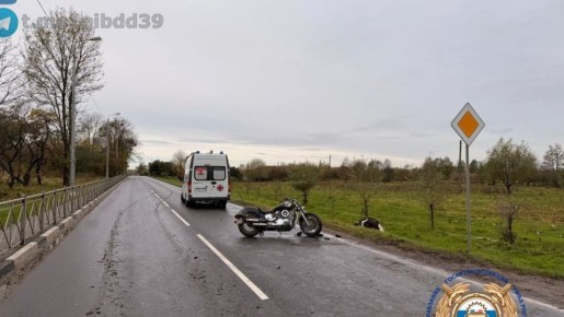 Сегодня в Черняховском районе водитель мотоцикла сбил корову