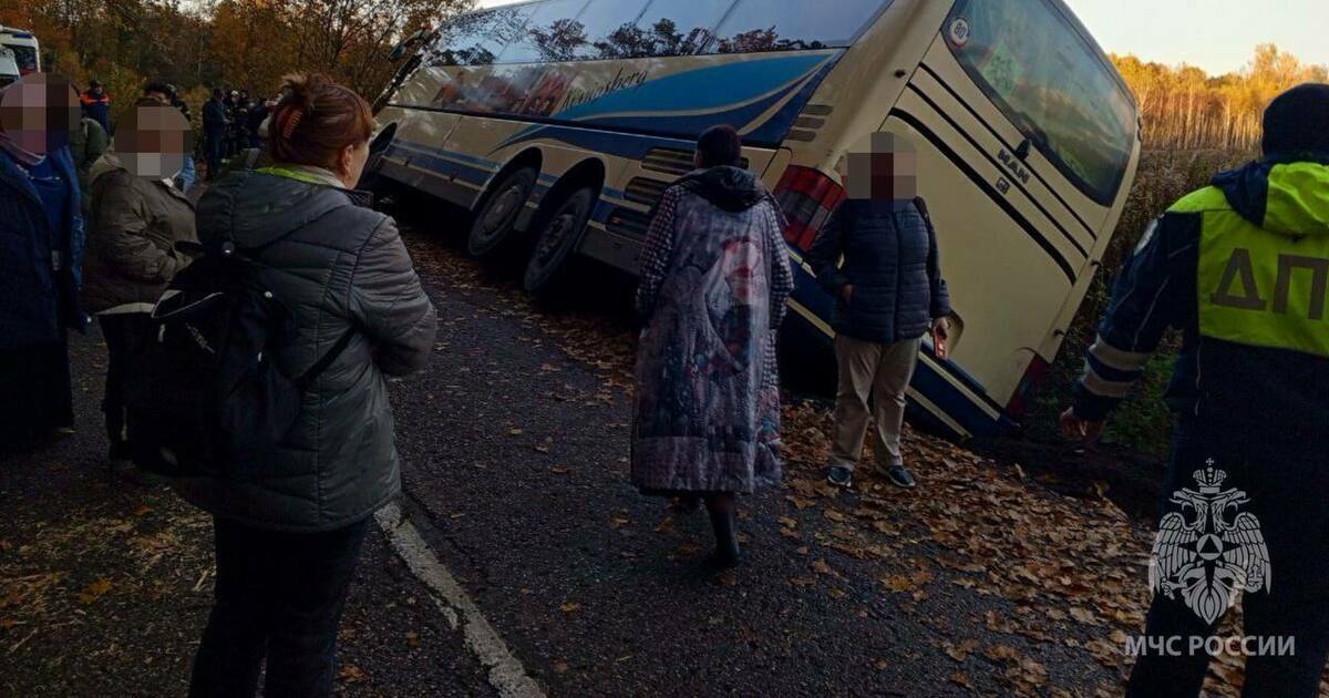 Под Полесском улетел в кювет автобус с туристами Там находилось 40 человек