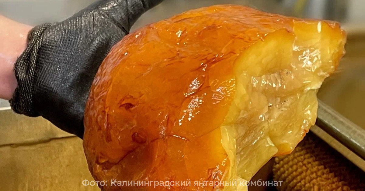 В Калининградской области нашли янтарную «буханку» весом почти 2,5 кг (фото)