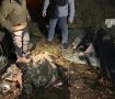 Водитель БМВ разрыдался на месте страшной аварии под Гвардейском