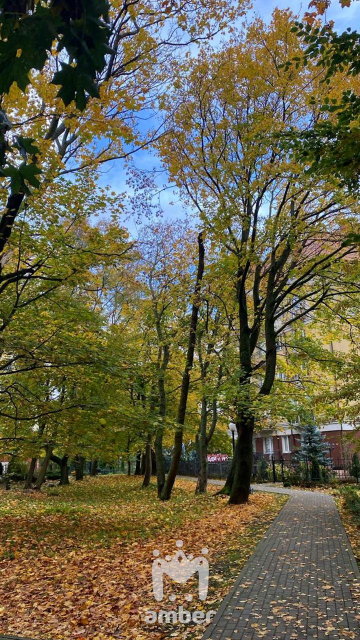 Цвет настроения вот какой-то такой Цвет настроения вот какой-то такой