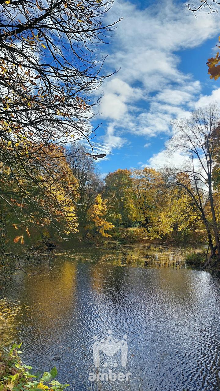 Цвет настроения вот какой-то такой Цвет настроения вот какой-то такой