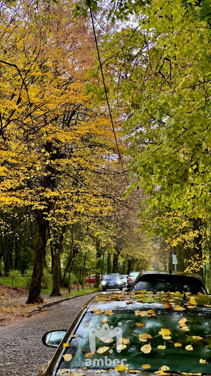 Цвет настроения вот какой-то такой