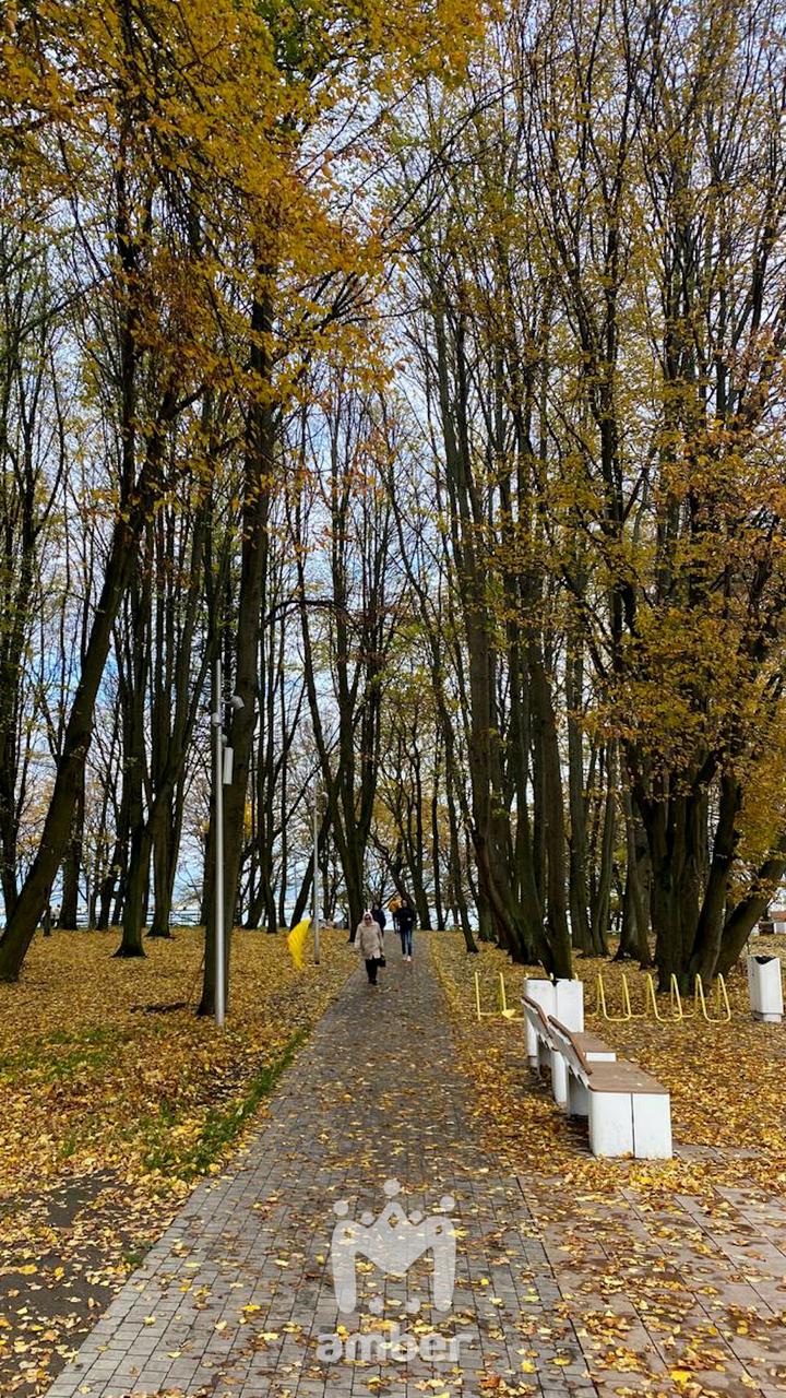 Цвет настроения вот какой-то такой Цвет настроения вот какой-то такой