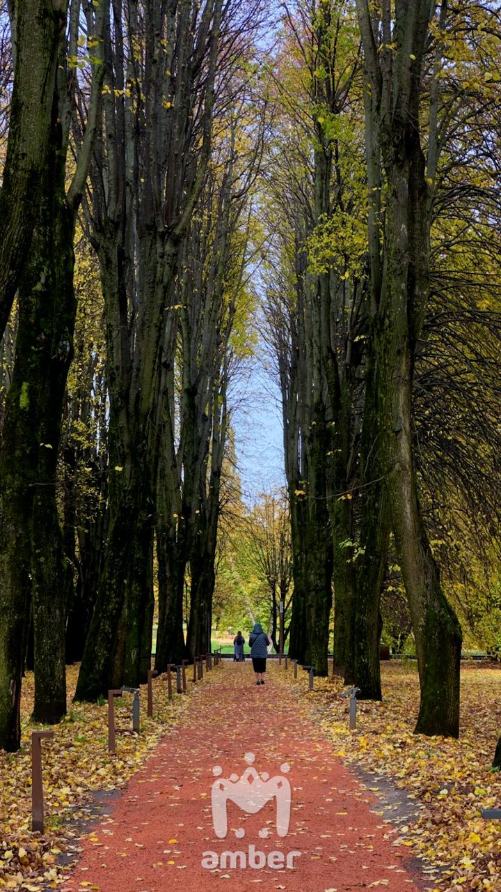 Цвет настроения вот какой-то такой Цвет настроения вот какой-то такой