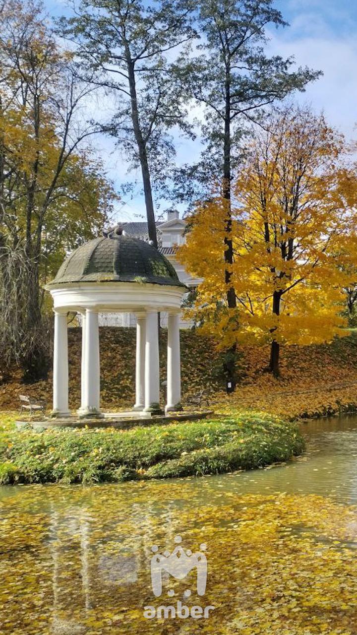 Цвет настроения вот какой-то такой Цвет настроения вот какой-то такой