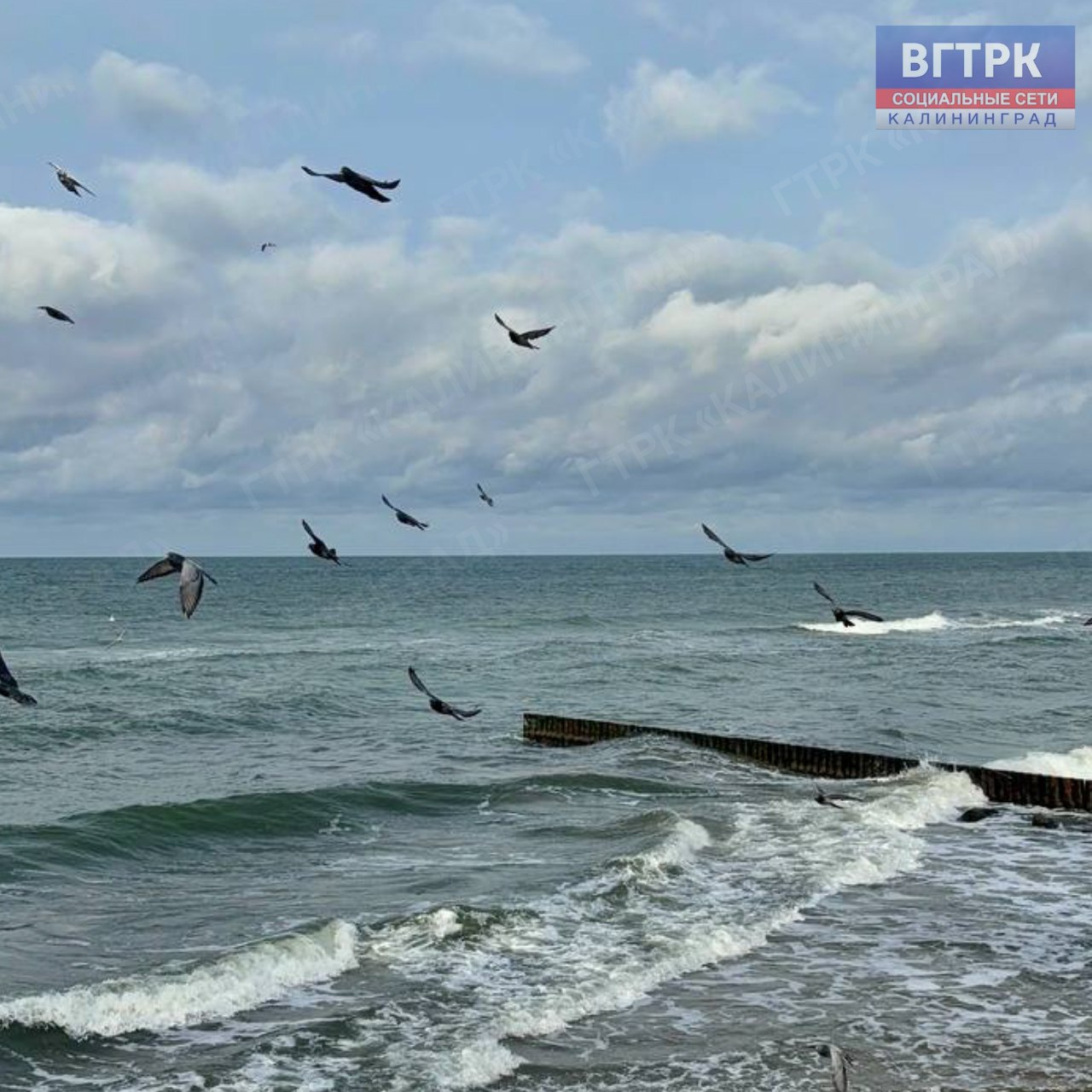 В выходные дни солнечные лучи успели порадовать жителей и гостей Зеленоградска! В выходные дни солнечные лучи успели порадовать жителей и гостей Зеленоградска!