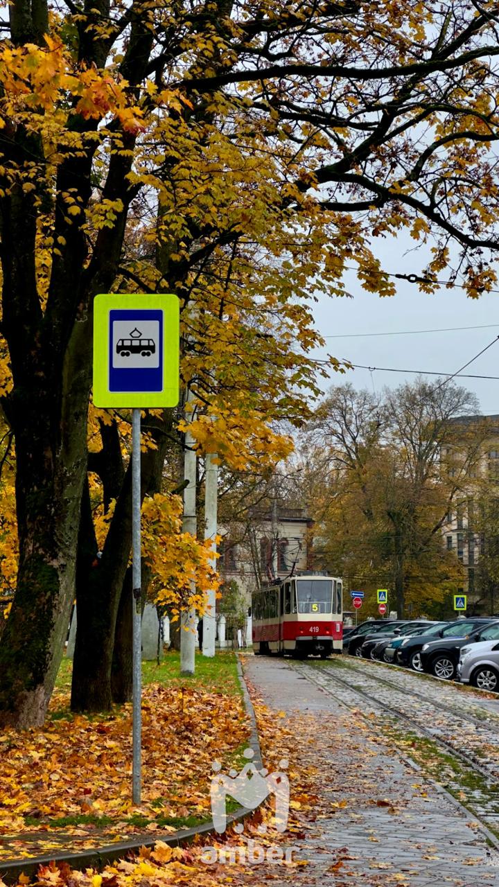 Цвет настроения вот какой-то такой Цвет настроения вот какой-то такой