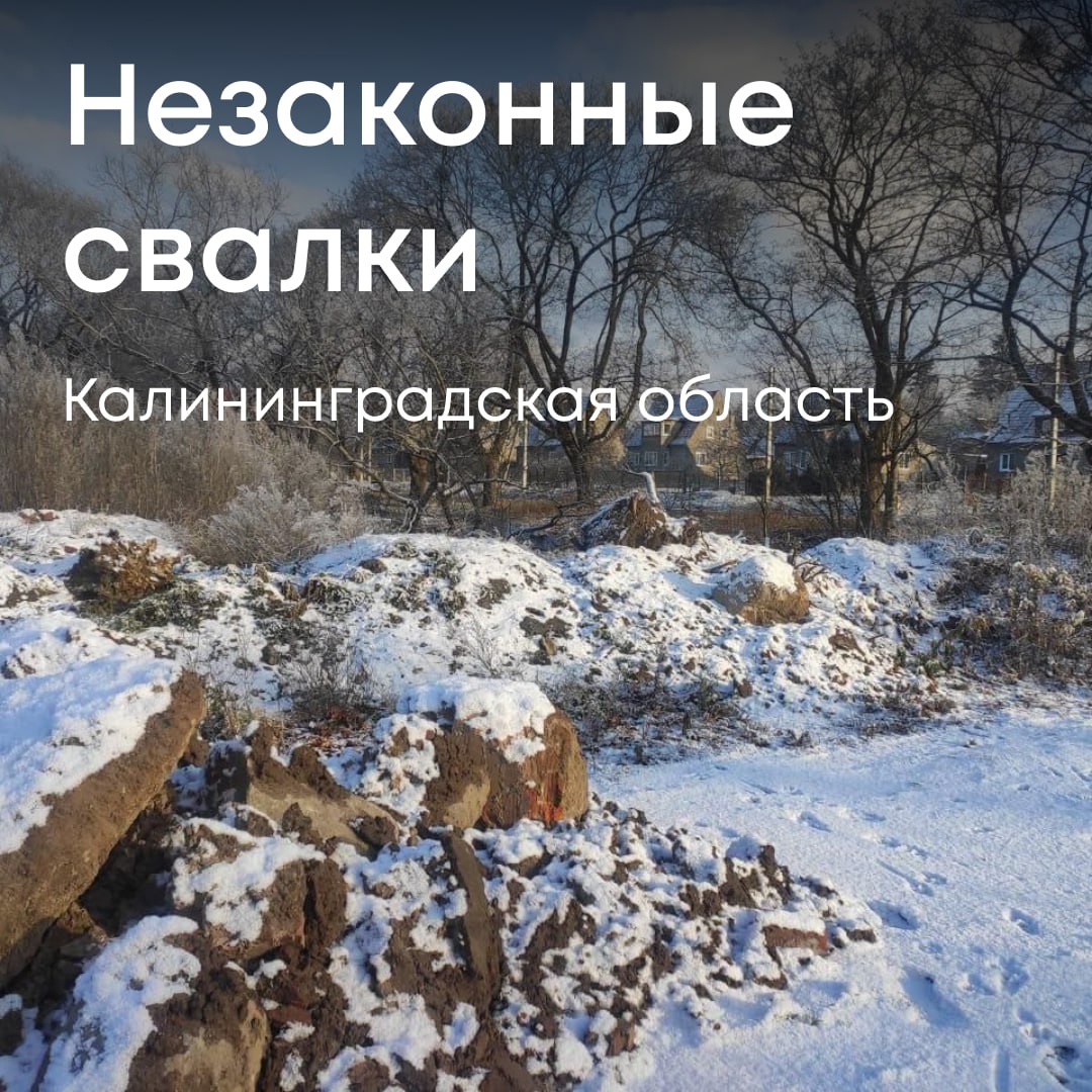Росприроднадзор добивается от администрации Черняховского муниципального округа возмещения более 11 млн рублей за ущерб, причиненный почвам в Калининградской области