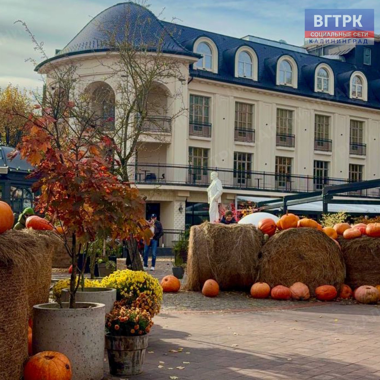 В выходные дни солнечные лучи успели порадовать жителей и гостей Зеленоградска! В выходные дни солнечные лучи успели порадовать жителей и гостей Зеленоградска!