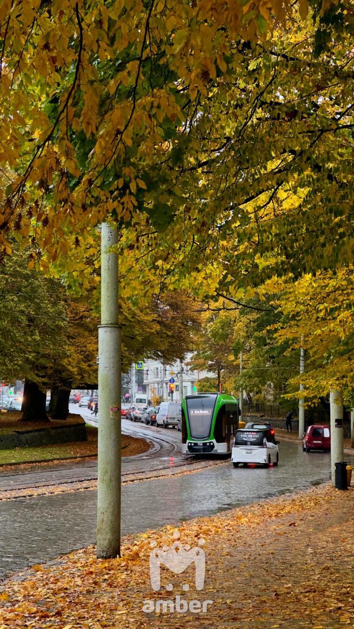 Цвет настроения вот какой-то такой Цвет настроения вот какой-то такой
