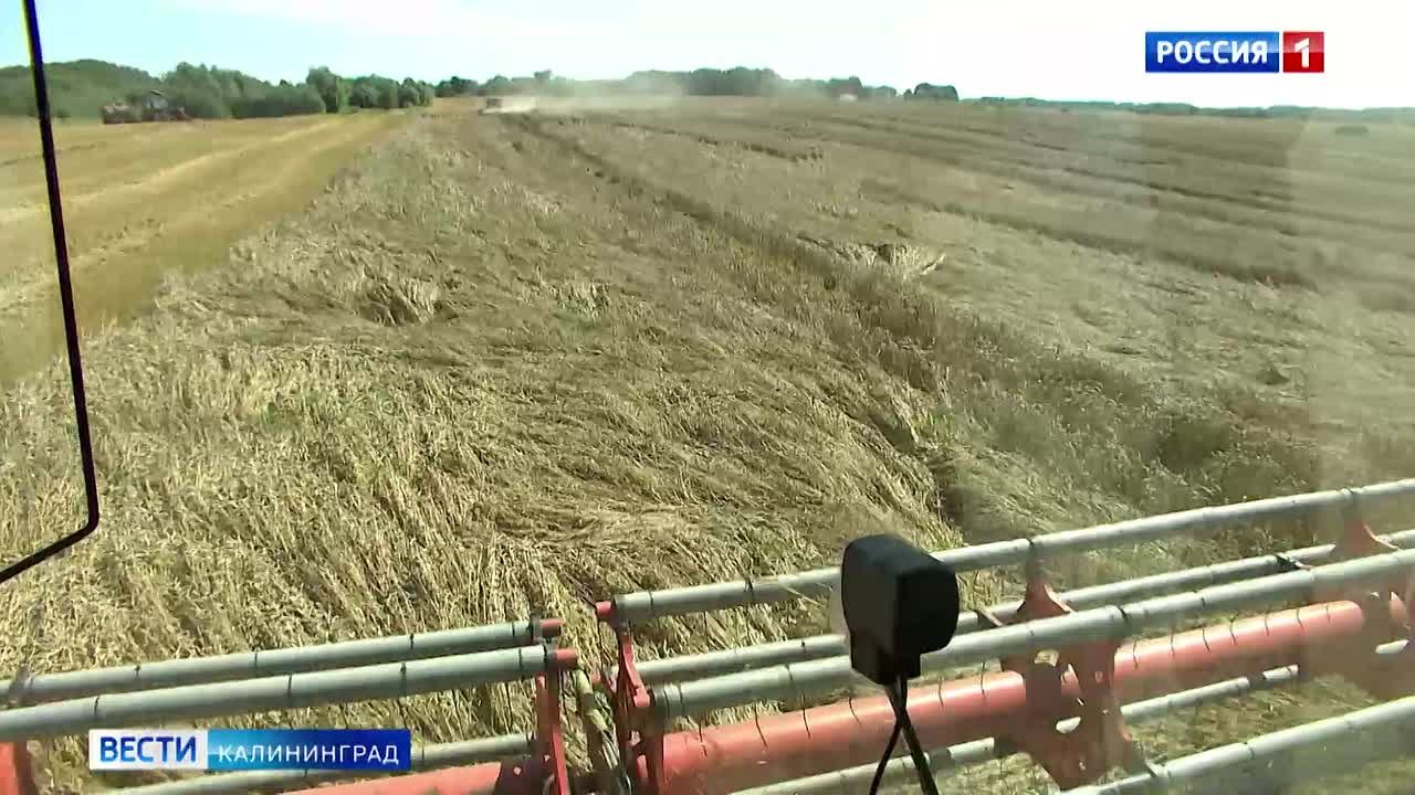 В ближайшие три года в регионе прогнозируется рост Отраслей реального сектора экономики