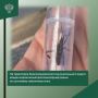 На территории Краснознаменского муниципального округа введен карантинный режим по сосновому семенному клопу