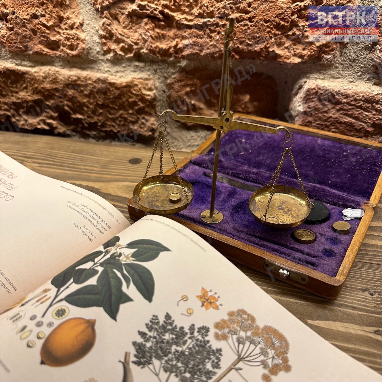 «В стенах величественного замка Нойхаузен мы создали уникальную Лабораторию Парфюмера — место, где оживает магия старинных ароматов и раскрывается тайна искусства создания запахов...» «В стенах величественного замка Нойхаузен мы создали уникальную Лабораторию Парфюмера — место, где оживает магия старинных ароматов и раскрывается тайна искусства создания запахов...»