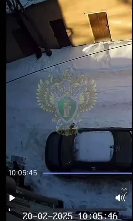 Сломанный позвоночник из-за льда: жительница Зеленоградска добилась компенсации от УК