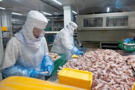 Бройлерная фабрика в Калининграде избавилась от долга благодаря арестам