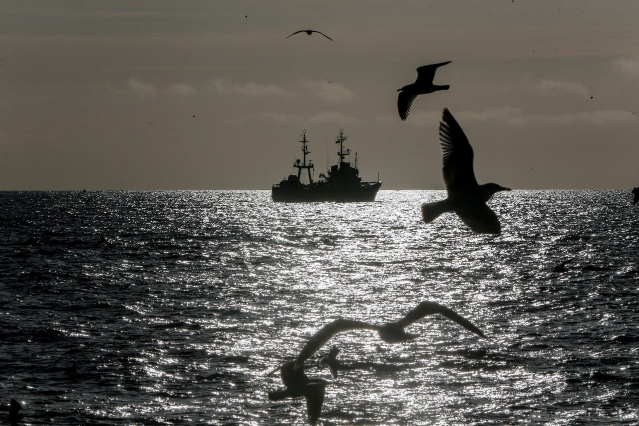 Вечером в четверг и ночью в пятницу в Калининградской области ожидается первое в этом сезоне штормовое усиление ветра — порывы могут достигать более 20 м/с