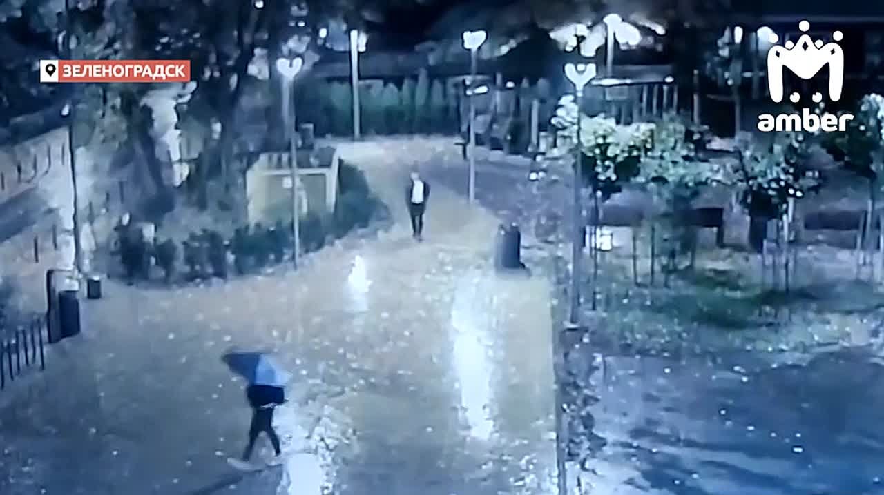 Новости из Зеленоградска к этому часу: мужик стырил мусорку