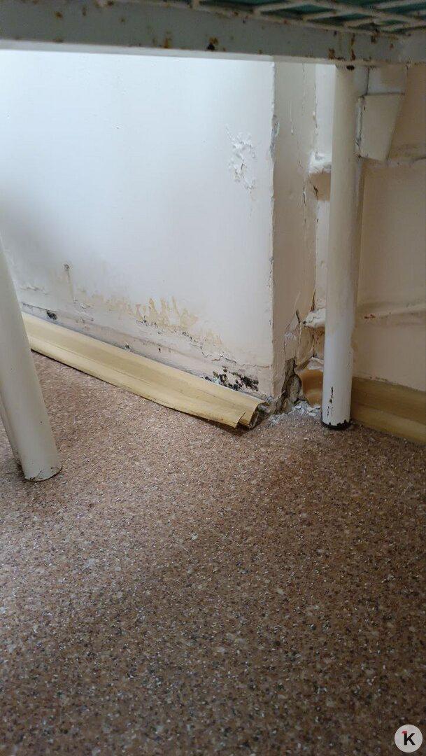 После жалоб калининградцев власти пообещали отремонтировать палаты детского инфекционного отделения ЦГКБ После жалоб калининградцев власти пообещали отремонтировать палаты детского инфекционного отделения ЦГКБ