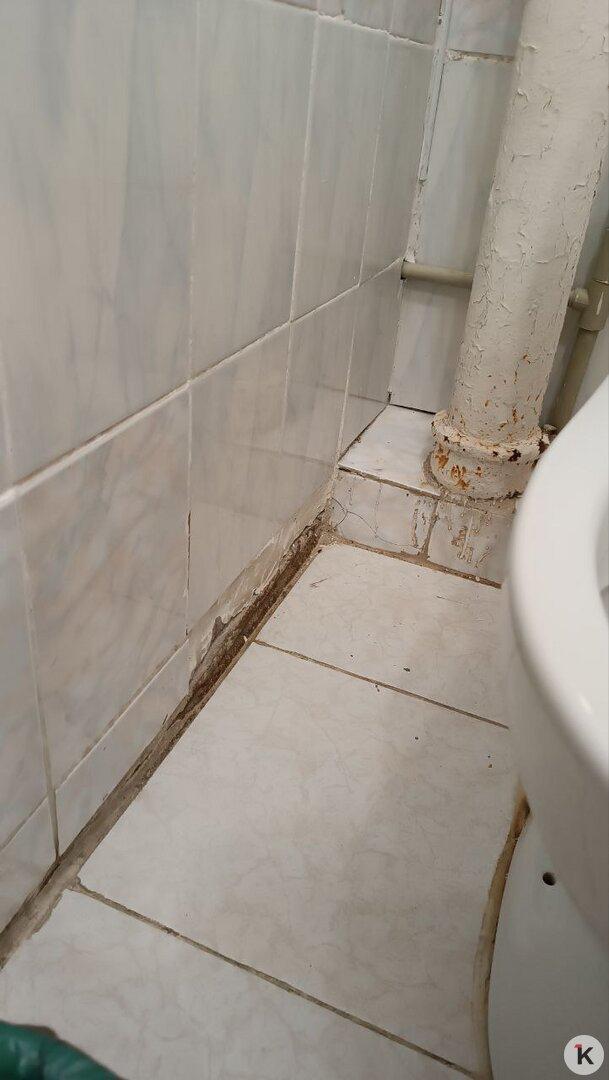 После жалоб калининградцев власти пообещали отремонтировать палаты детского инфекционного отделения ЦГКБ После жалоб калининградцев власти пообещали отремонтировать палаты детского инфекционного отделения ЦГКБ