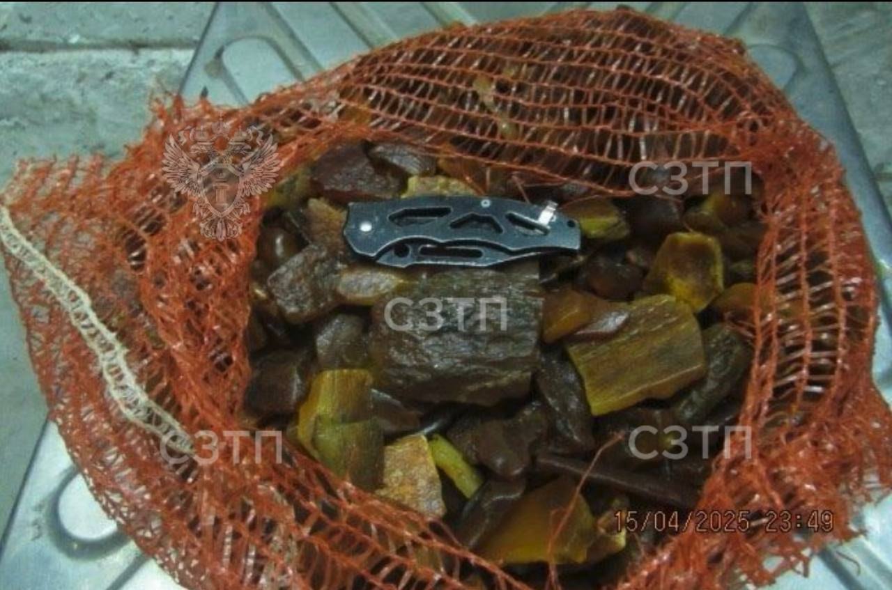 У вёзшего янтарь в Литву в сетках из-под лука отобрали машину У вёзшего янтарь в Литву в сетках из-под лука отобрали машину