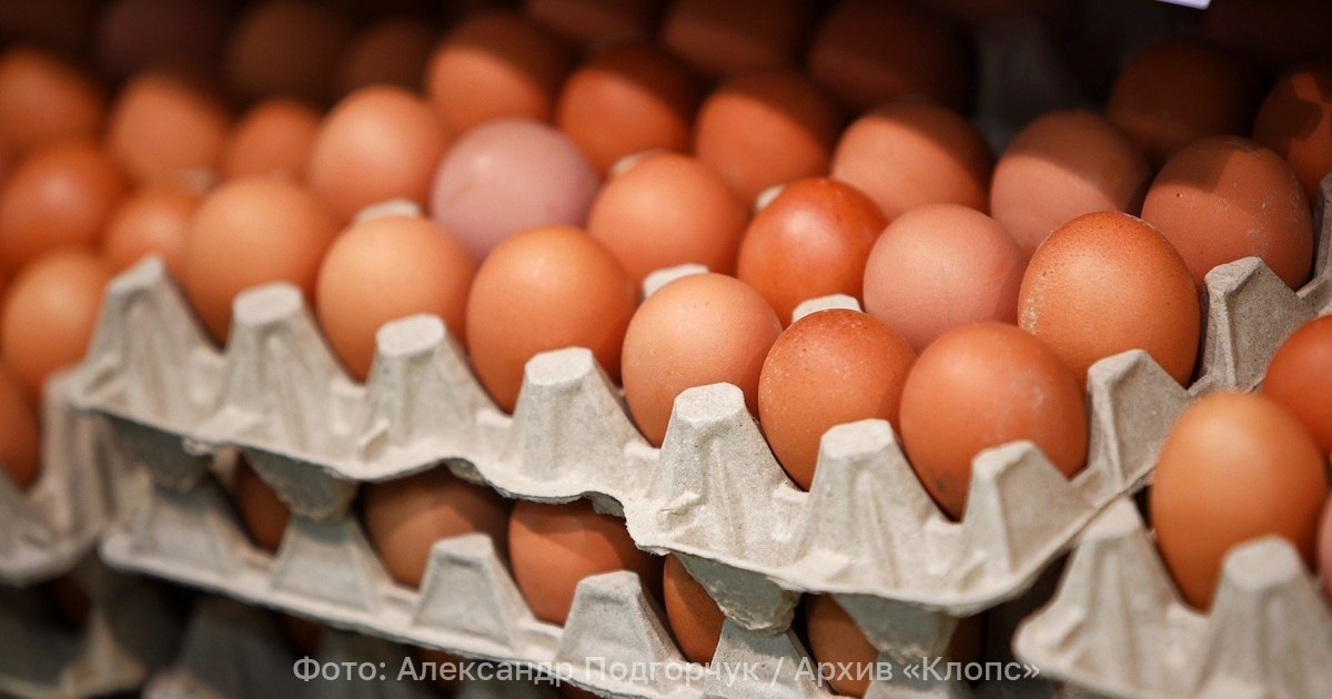 Калининградские птицефермы завезли из Европы 288 тыс