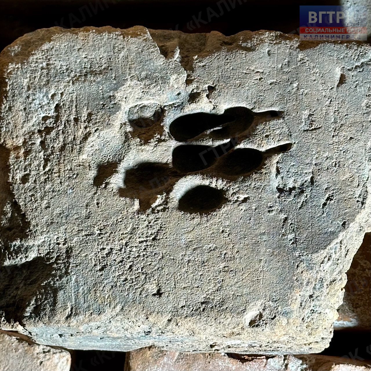 Тайны «Архитектурного лабиринта» Нойхаузена Тайны «Архитектурного лабиринта» Нойхаузена