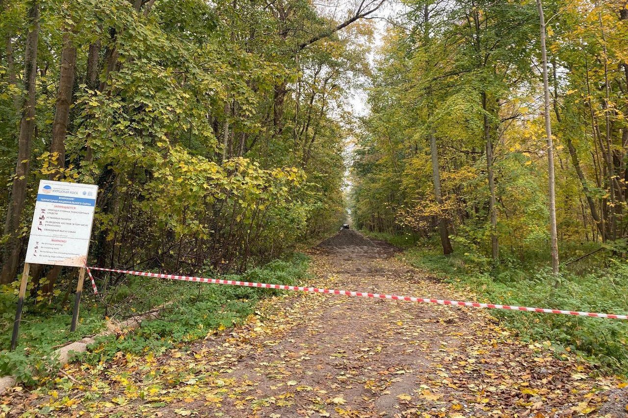 «Ходить опасно»: Калина показал, как строят велодорожку в начале Куршской косы «Ходить опасно»: Калина показал, как строят велодорожку в начале Куршской косы