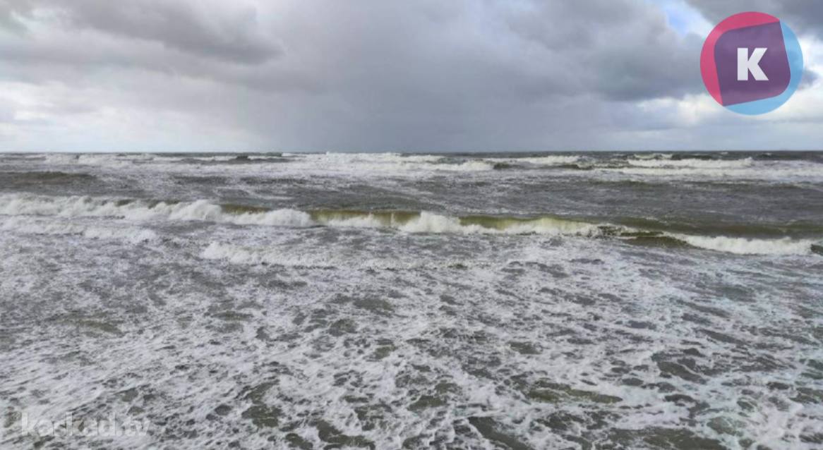 Штормовое предупреждение: вечером 30 октября в Калининградской области усилится ветер