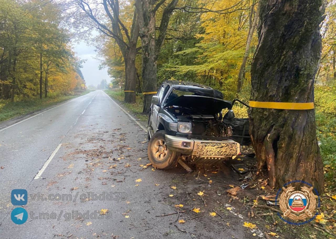 Наезд на придорожное дерево