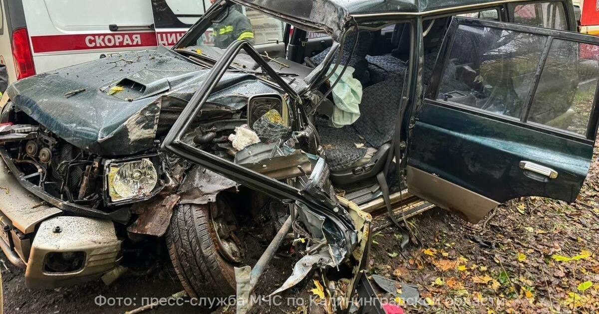 На трассе Калининград — Балтийск спасателям пришлось вырезать из машины водителя врезавшегося в дерево внедорожника (фото)