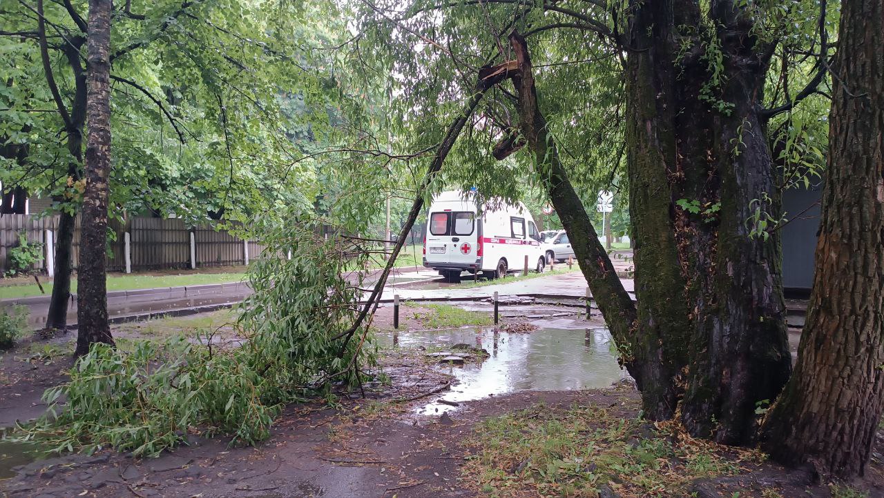 И хотя некоторые прогнозные модели предполагают ослабление погодного сценария для Калининграда, порывы вера могут достигать 22 м\с, тем не менее, мы ввели для всех муниципальных служб режим “повышенной готовности”