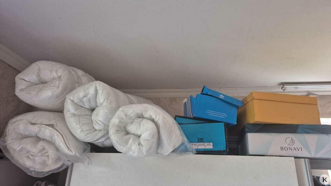 Семье калининградских погорельцев за неделю собрали больше двух миллионов рублей Семье калининградских погорельцев за неделю собрали больше двух миллионов рублей