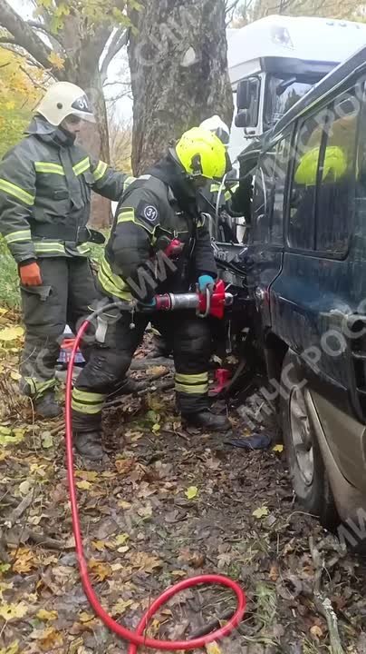 Сотрудники МЧС России реагировали на ДТП в Зеленоградском муниципальном округе