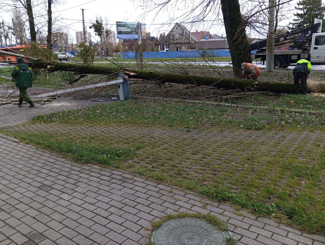 В Калининграде продолжают устранять подтопления и пилить деревья, режим повышенной готовности сохранится до вечера В Калининграде продолжают устранять подтопления и пилить деревья, режим повышенной готовности сохранится до вечера