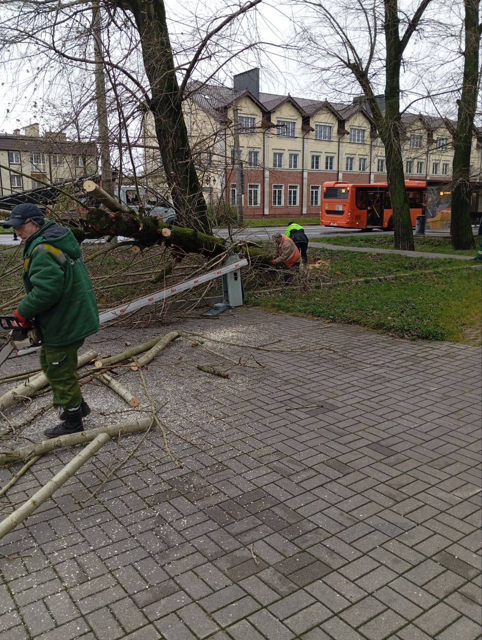 В Калининграде продолжают устранять подтопления и пилить деревья, режим повышенной готовности сохранится до вечера В Калининграде продолжают устранять подтопления и пилить деревья, режим повышенной готовности сохранится до вечера
