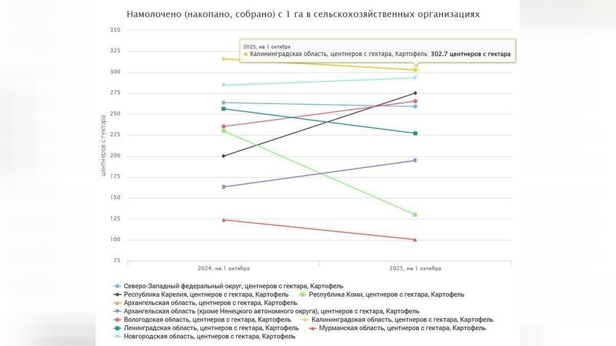 В Калининградской области собрали картофеля больше всех по округу, несмотря на плохой урожай В Калининградской области собрали картофеля больше всех по округу, несмотря на плохой урожай