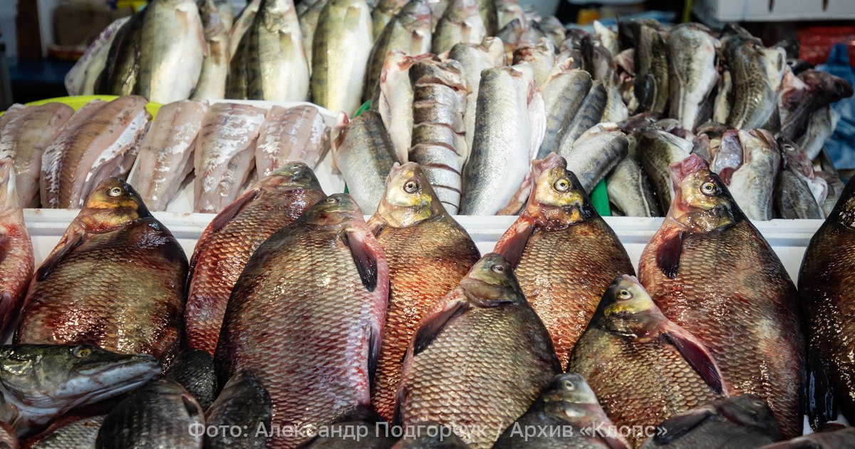 В Госдуме предложили по четвергам продавать рыбу за полцены