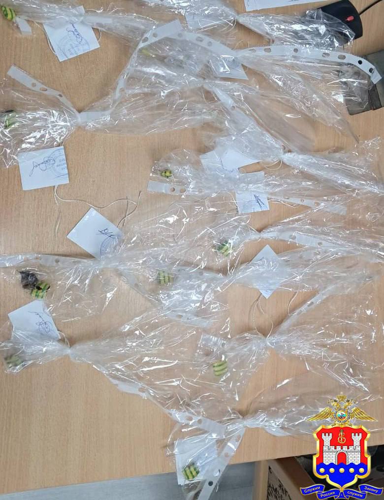 В Светлом полицейскими задержан закладчик «соли» с 20 дозами наркотика В Светлом полицейскими задержан закладчик «соли» с 20 дозами наркотика