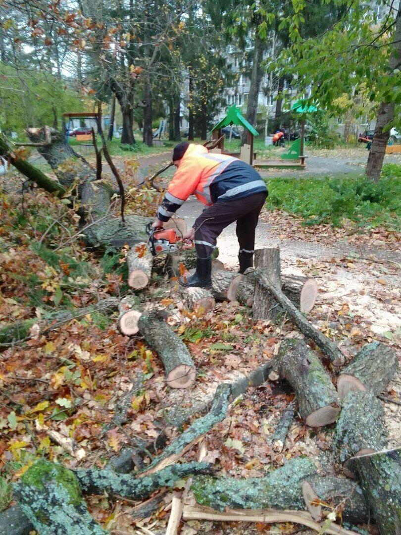 В Светлогорске поваленные ветром деревья погромили заборы и линии электропередач В Светлогорске поваленные ветром деревья погромили заборы и линии электропередач