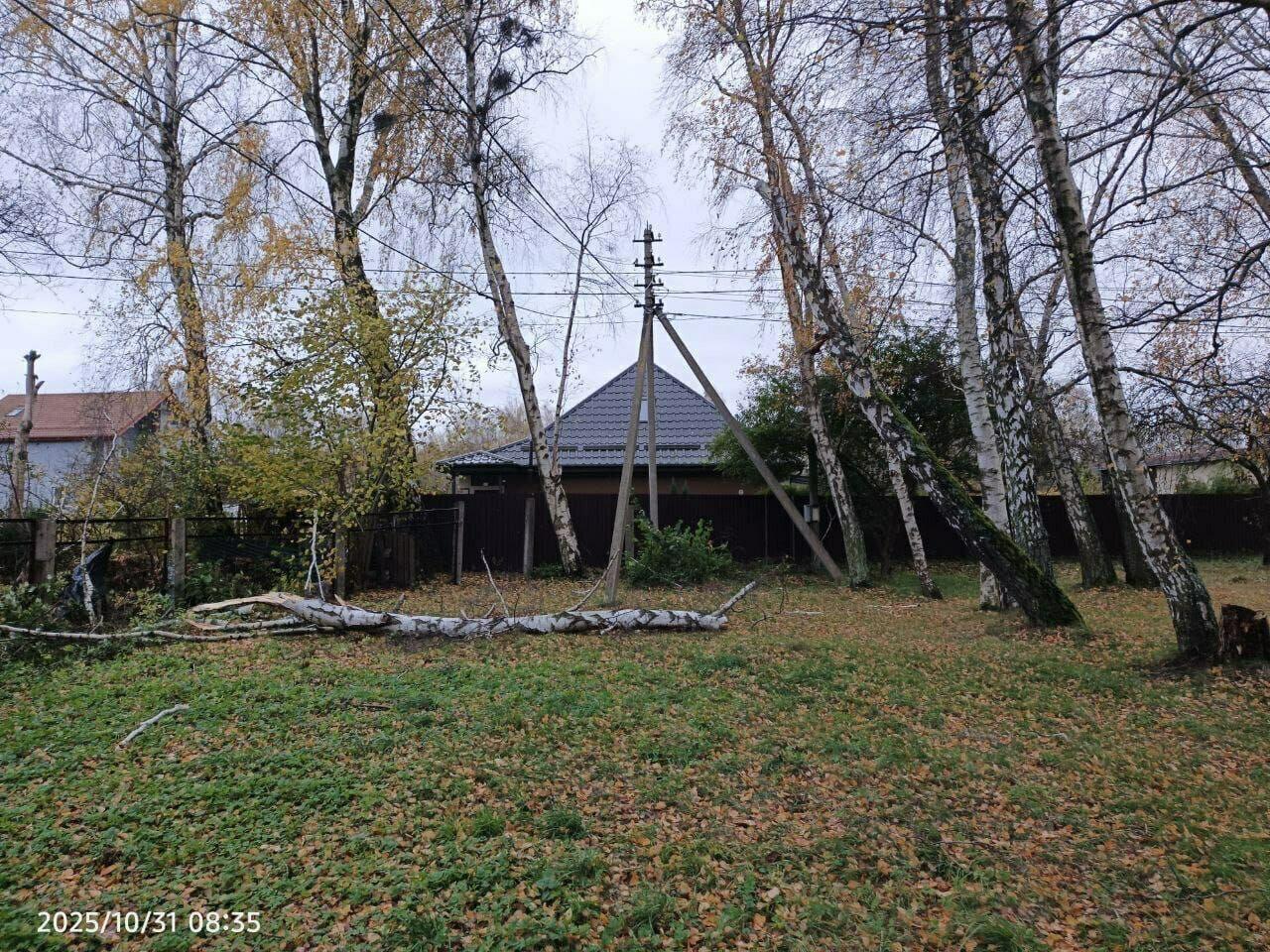 В Светлогорске поваленные ветром деревья погромили заборы и линии электропередач В Светлогорске поваленные ветром деревья погромили заборы и линии электропередач