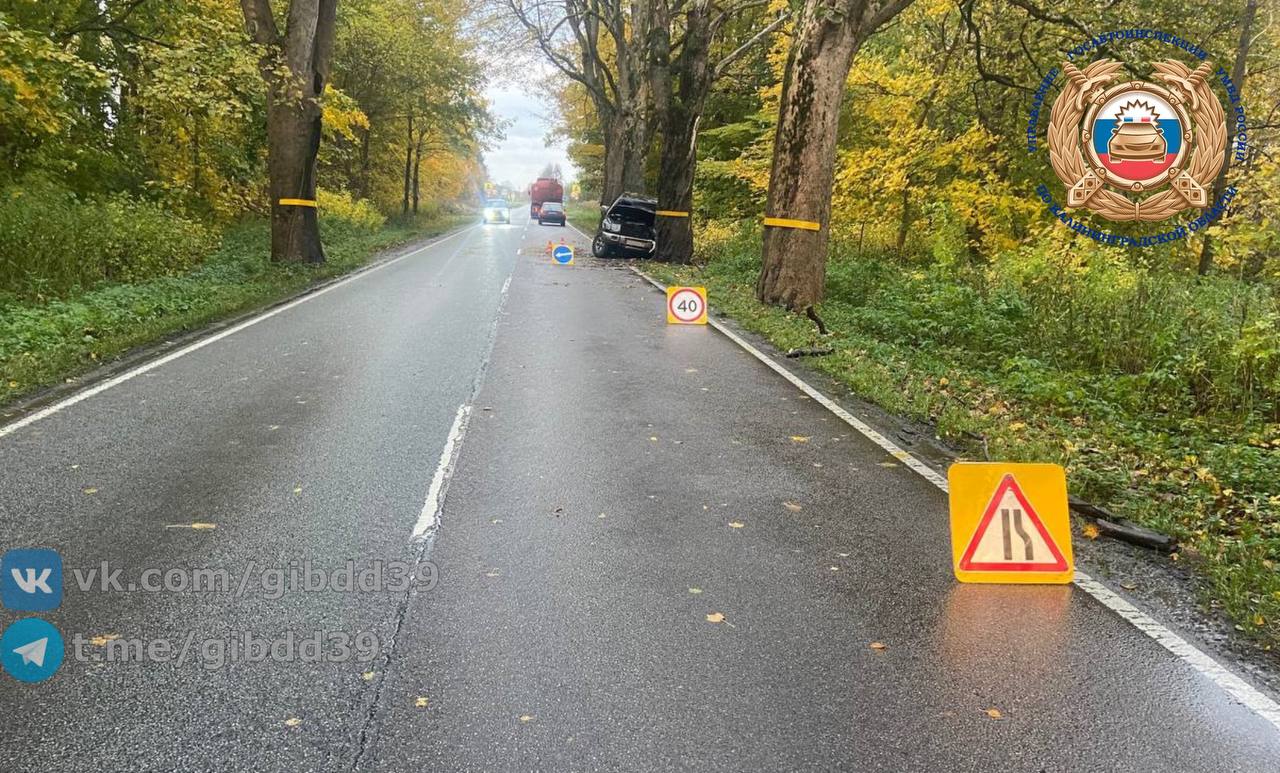 Гурьевский район. 30.10.2025 в 07:00, в районе дома 1 по ул. Любимой пос Гурьевский район. 30.10.2025 в 07:00, в районе дома 1 по ул. Любимой пос