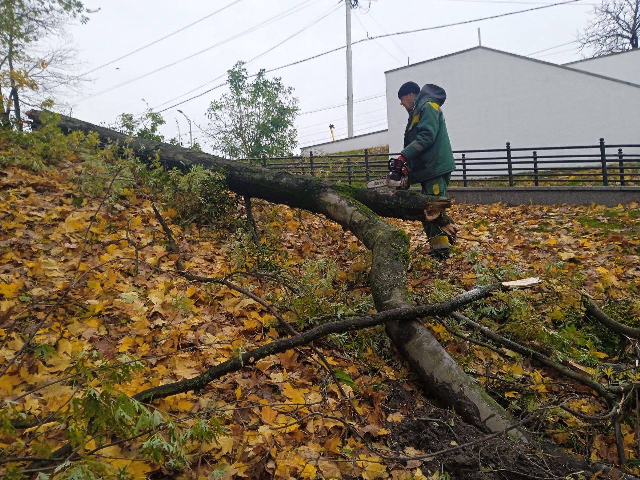 В Калининграде продолжают устранять подтопления и пилить деревья, режим повышенной готовности сохранится до вечера